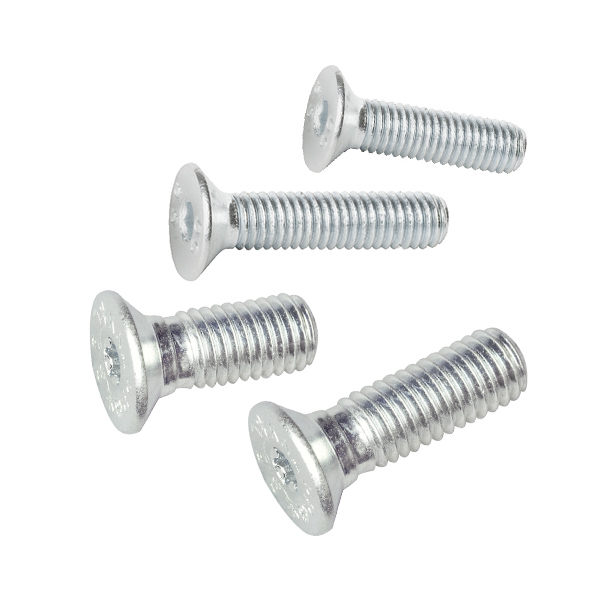 SK-Schrauben RICON®